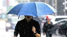 rain
