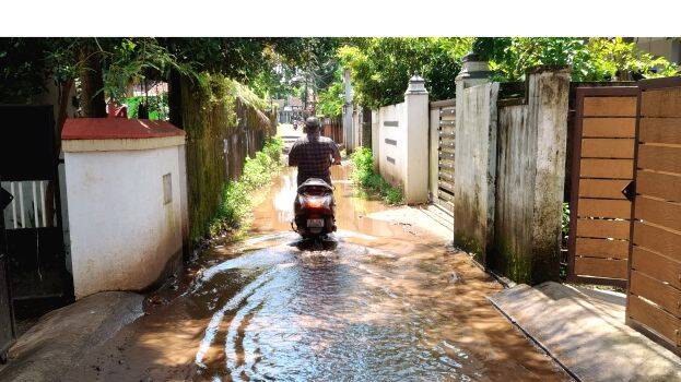 ambala ambala