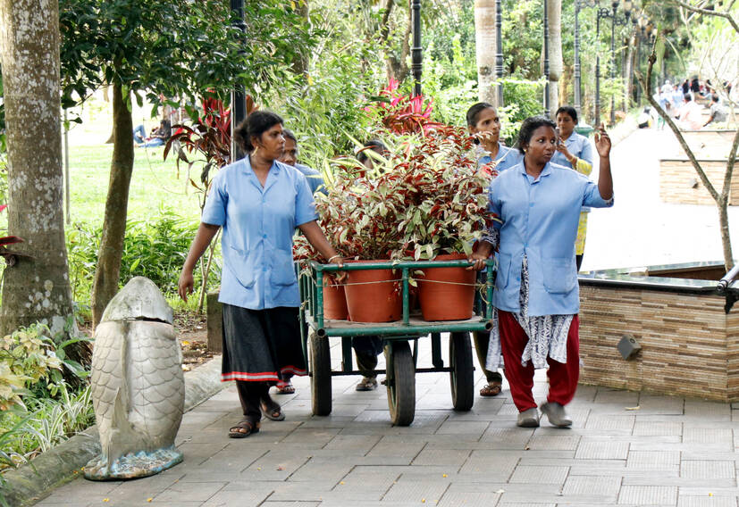 subash-park