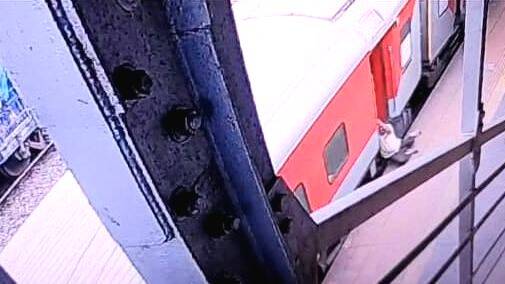train train