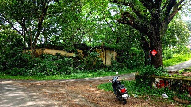 periyar-vally periyar-vally