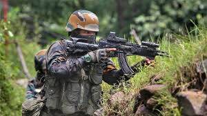 ak203