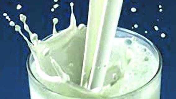 milk