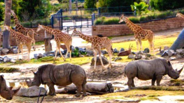 zoo