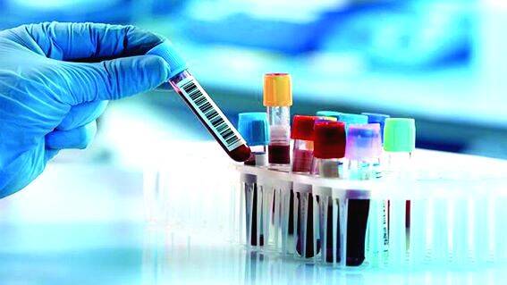lab