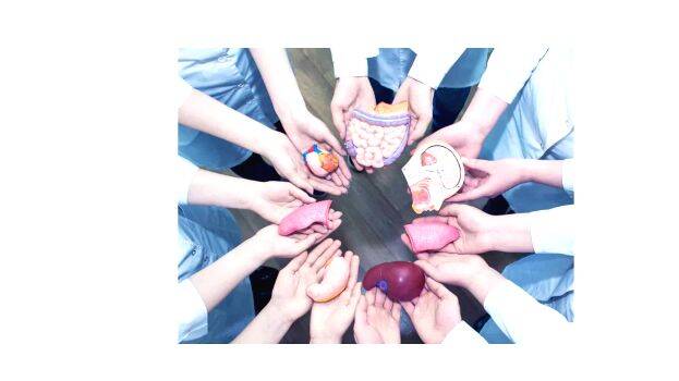 organs