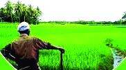 farmr