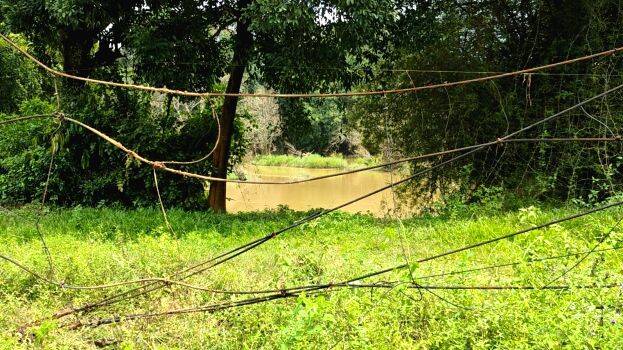 fencing- fencing-