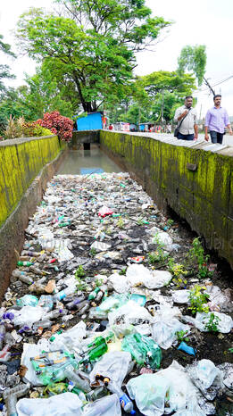 plastic