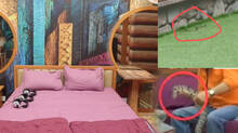 snake-found-in-bigboss-house