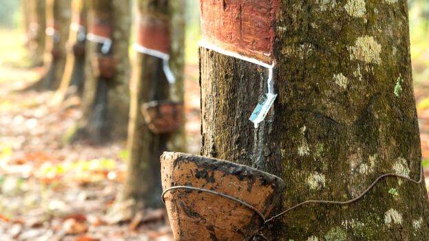 rubber