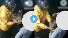 woman-alleges-blinkit-delivery-boy-misbehaved-with-her