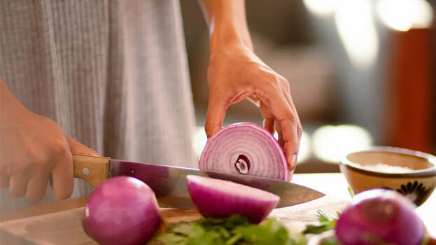 onion onion