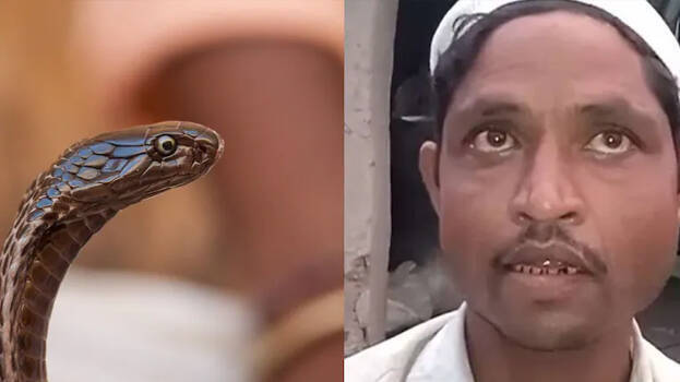 snake snake