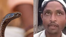 snake