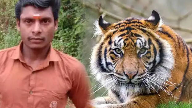 anil