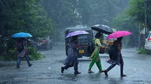 rain-update-in-kerala-yellow-alert-announced-in-various-districts-