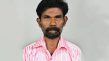 wasp-attack-70-year-old-man-died-in-aluva