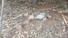 skeleton-found-at-idukki-ponmudi-water-source