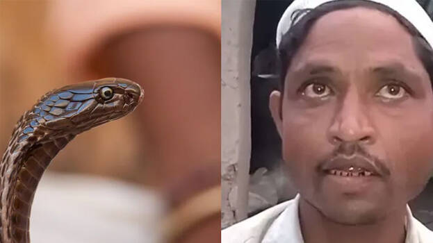 snake