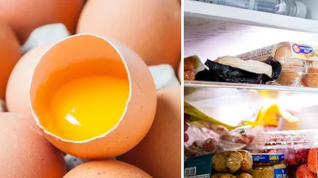 egg egg