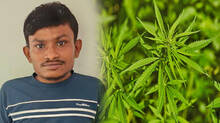ganja-sale-in-airport