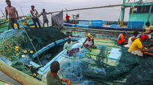 sri-lankan-navy-arrests-47-tamil-nadu-fishermen-mk-stalin-seeks-jaishankars-intervention