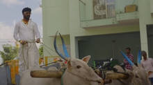 farmer-comes-in-bullock-cart-to-buy-luxuary-car