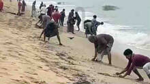 mathi-fish-price-in-kerala