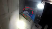 mafia-boss-arrested-in-italy