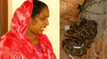 kaumudy-tv-snake-master-latest-episode
