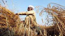 men-are-also-given-membership-in-kudumbashree