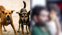 dog-attack-three-year-old-girls-ear-bitten-off-by-stray