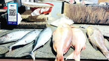 fish-sale-in-this-method-becoming-widely-spread-in-kerala