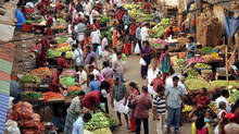 coconut-prices-rise-as-production-in-kerala-drops-significantly