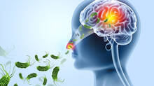 amoebic-meningoencephalitis-two-more-cases-confirmed-in-kerala