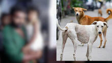 kochi-stray-dog-attack-three-year-old-ear-reattached