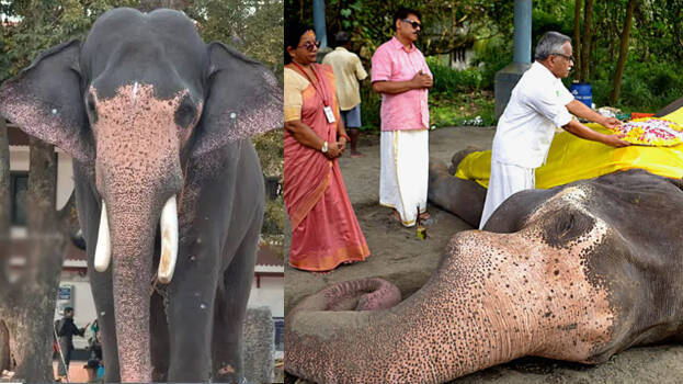 guruvayur-gokul guruvayur-gokul