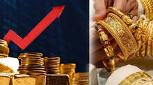 gold-price-will-not-come-down-amid-war-stopage-in-gaza