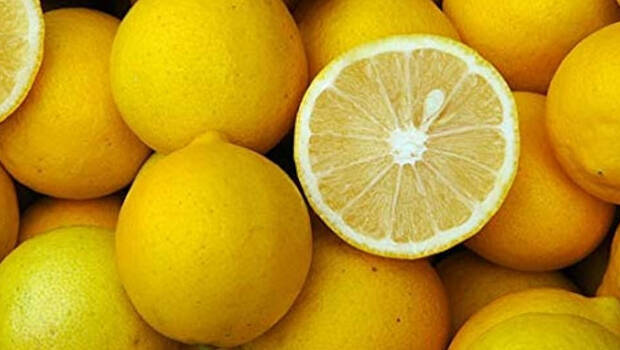 lemon lemon