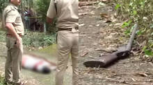 palakkad-murder-case-updates