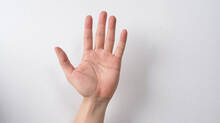 palm