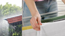 cloth