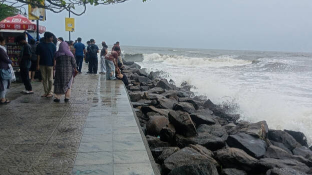 kochi- kochi-