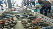 how-to-select-fresh-fish