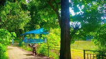 tourist-spot