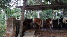 no-subsidy-or-help-from-govt-for-these-farmers