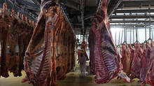 slaughter-house