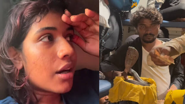 neha-madhavan neha-madhavan