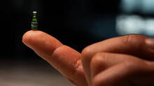 worlds-smallest-beer-bottle